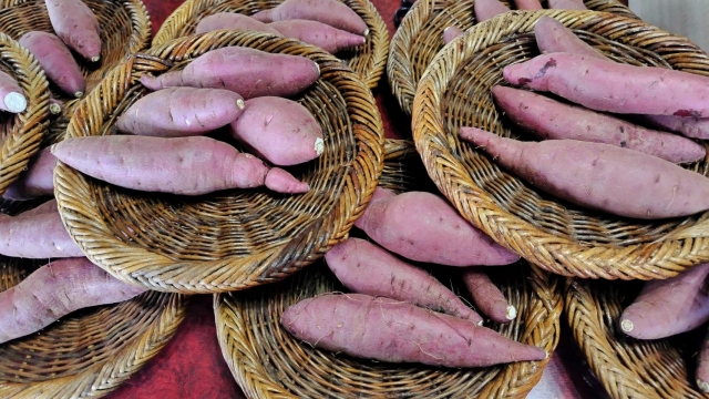 さつまいも